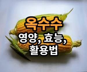 옥수수