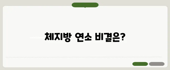 달리기 운동 효과 체지방 연소 핵심운동