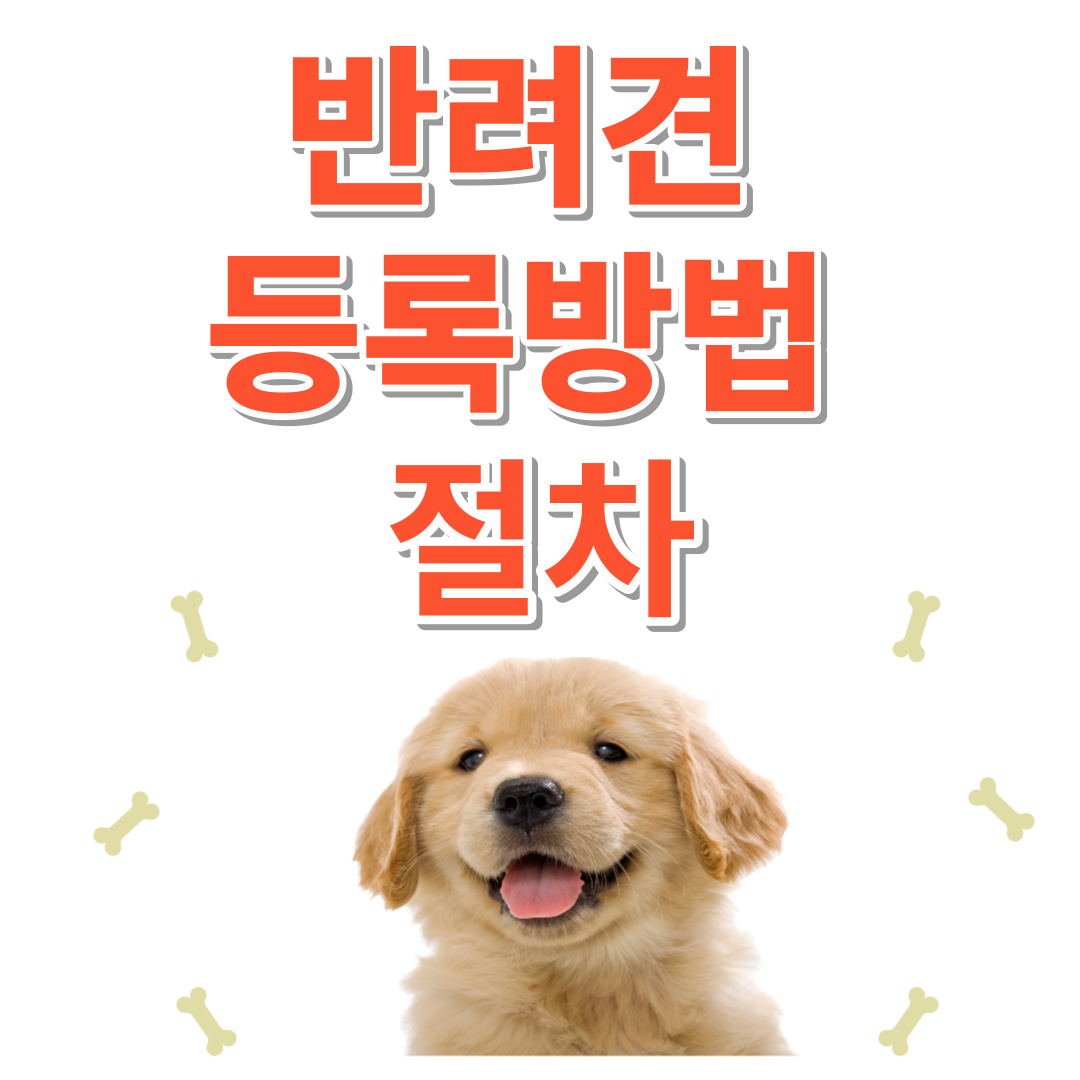반려견등록방법 및 절차
