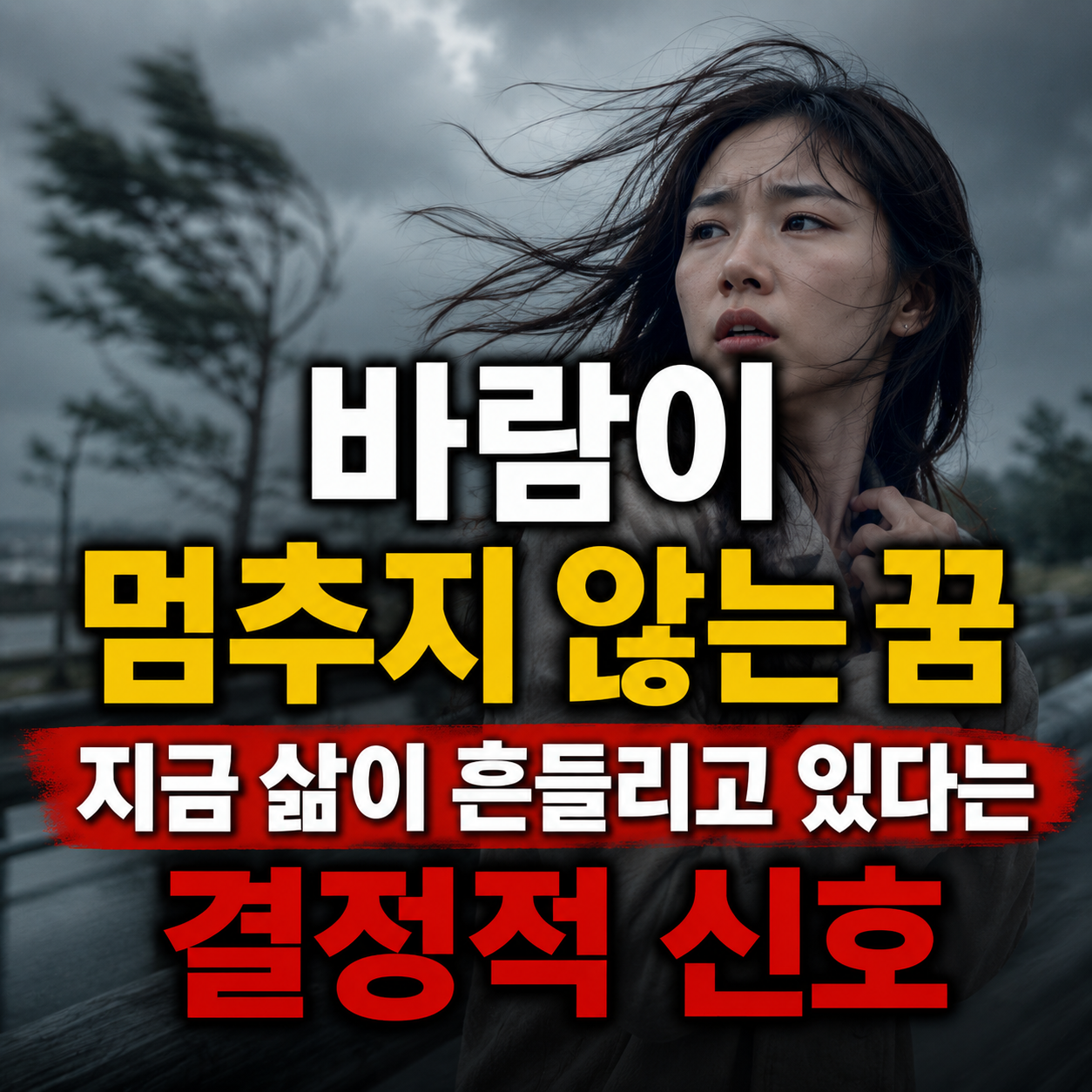 바람이 멈추지 않는 꿈