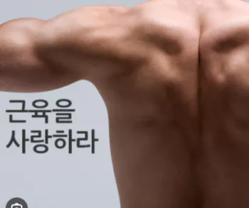 근육건강3