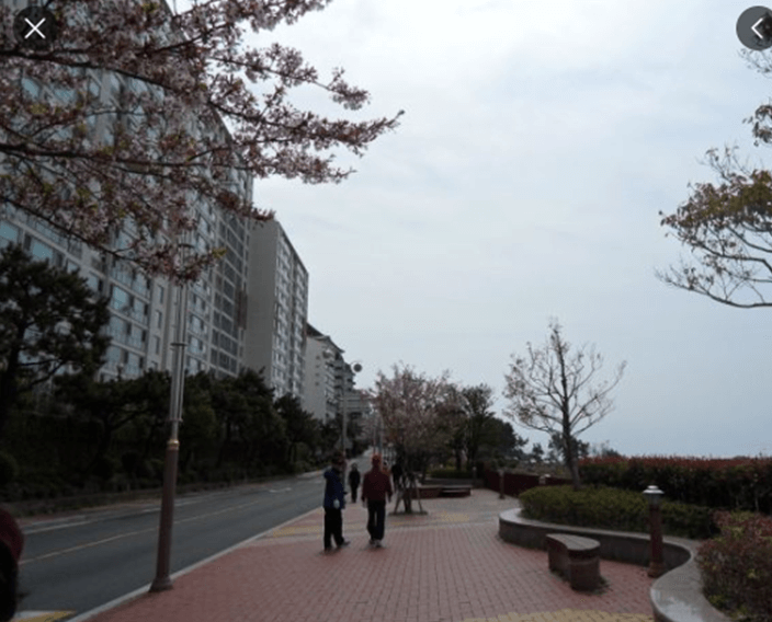 해운대달맞이길사진