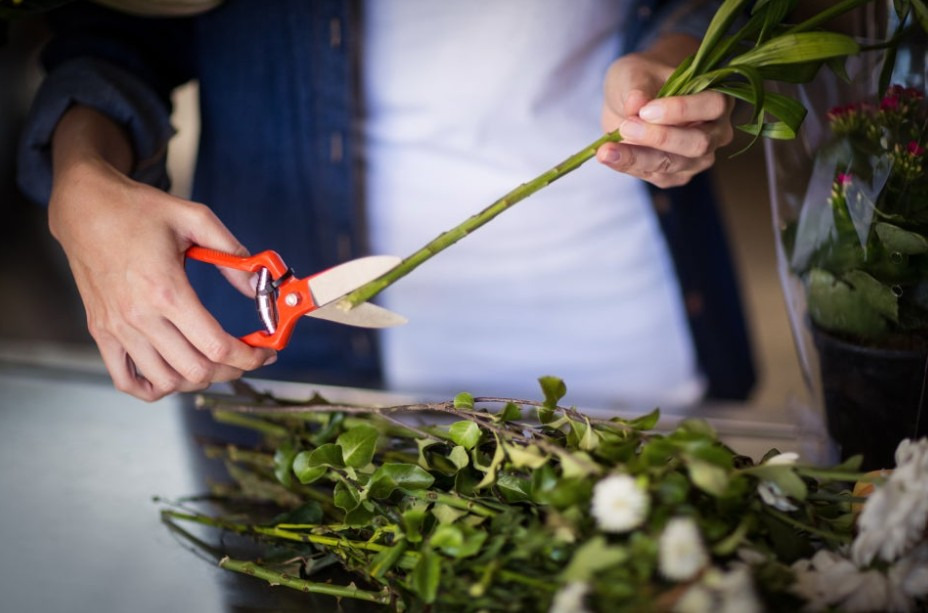 꽃다발 보관 방법 꽃다발 오래 보관하는 방법