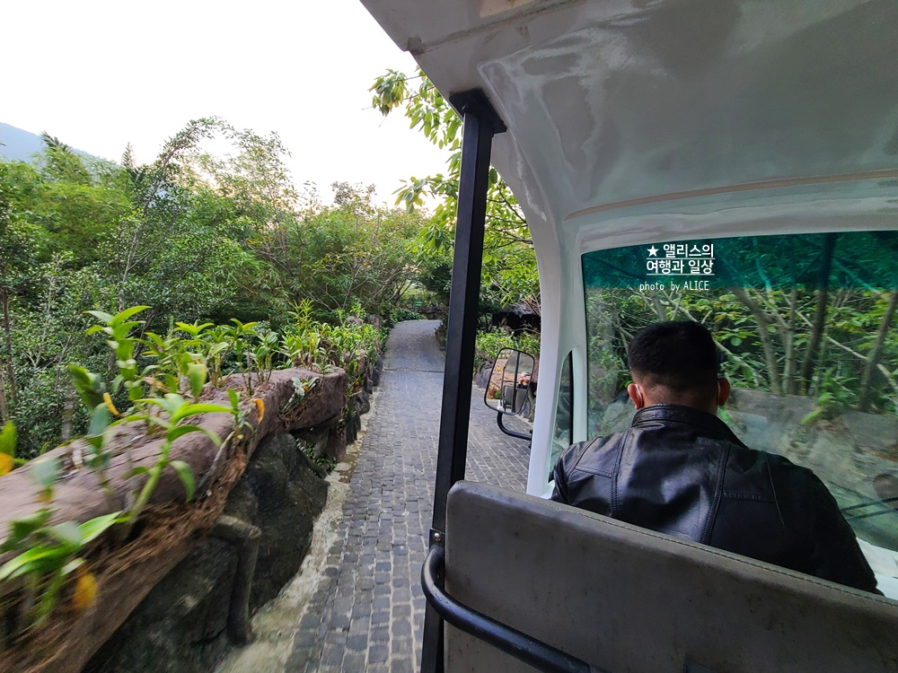 베트남 다낭 온천 워터파크 머드온천 추천 후기 누이 탄 타이 핫 스프링 파크 할인 예약방법