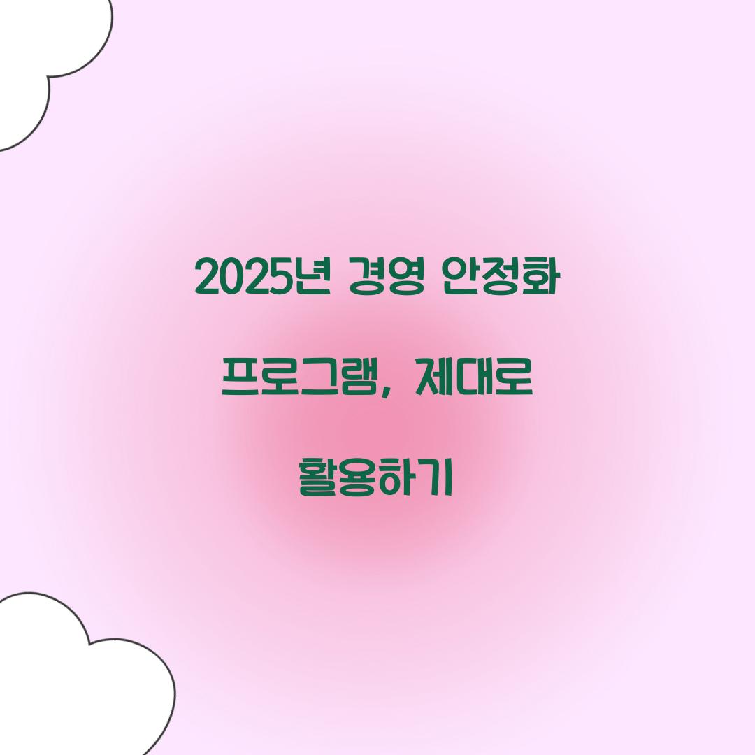 2025년 경영 안정화 프로그램