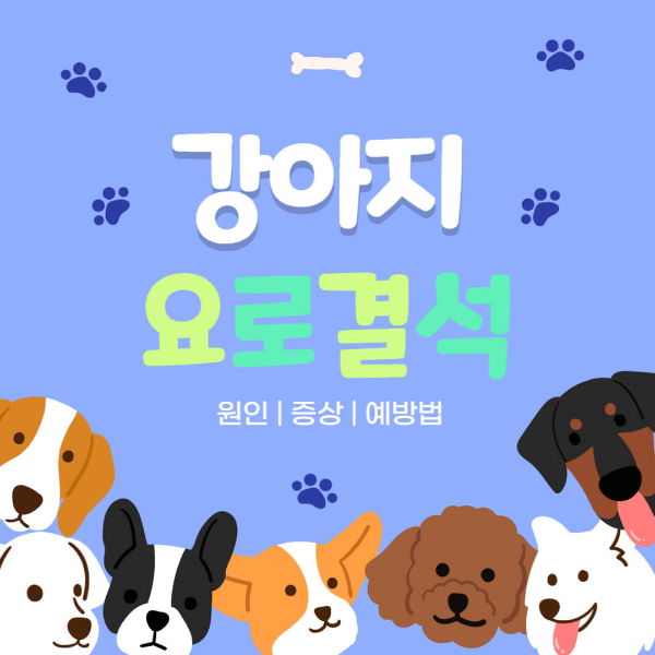 강아지_요로결석_썸네일