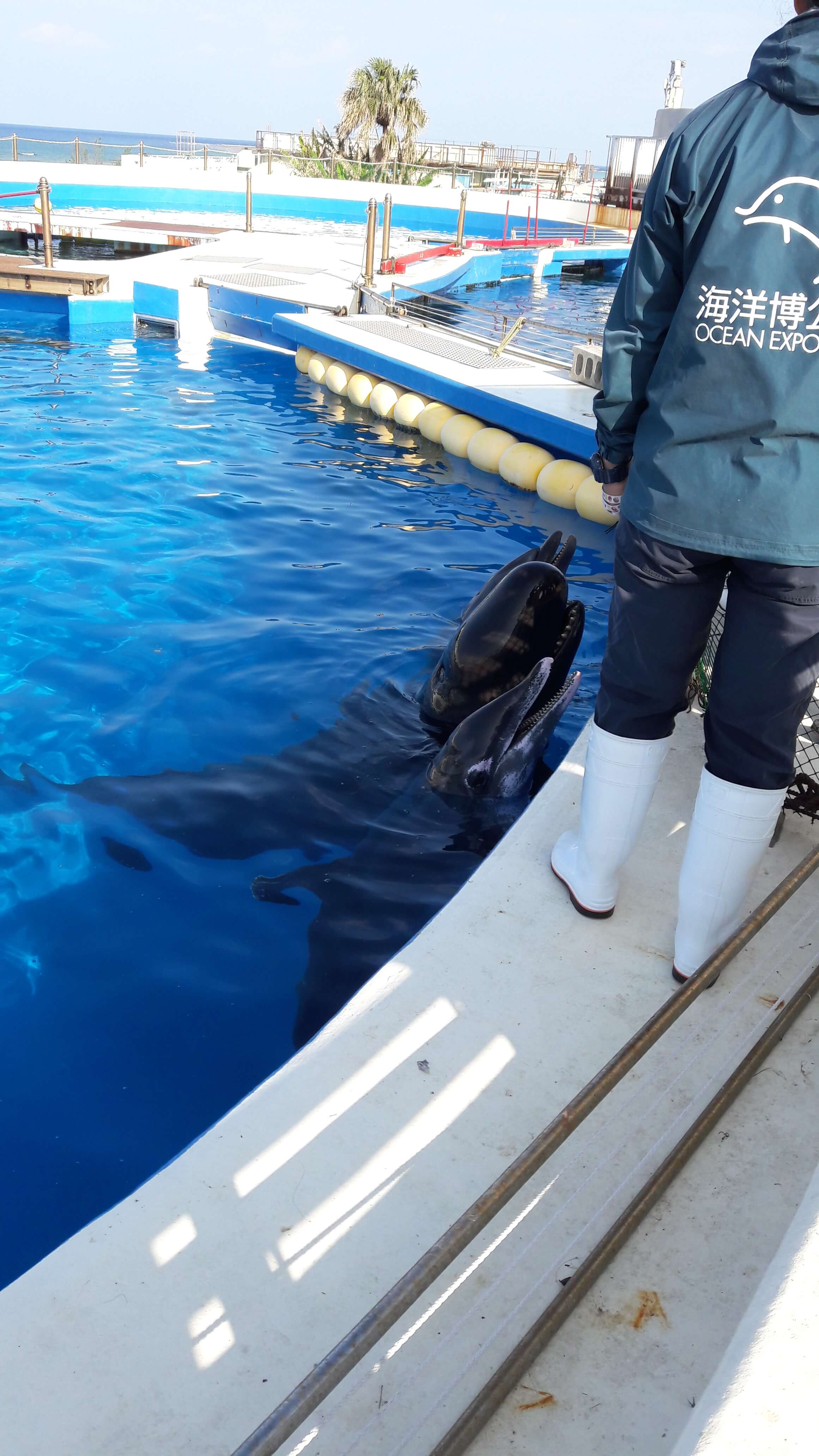 츄라우미 수족관