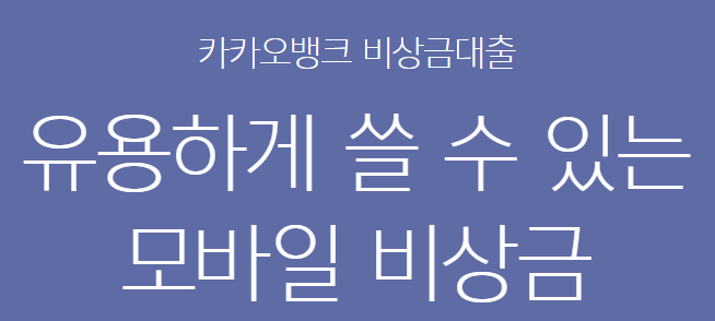 카카오뱅크 비상금대출
