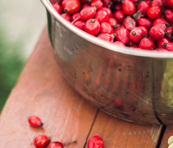 로즈힙퓨레 쥬스 만들기