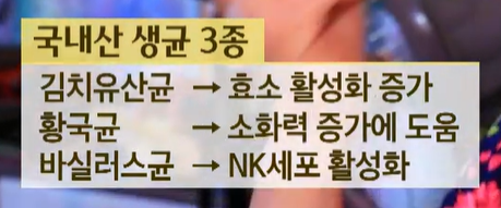 카무트 효소