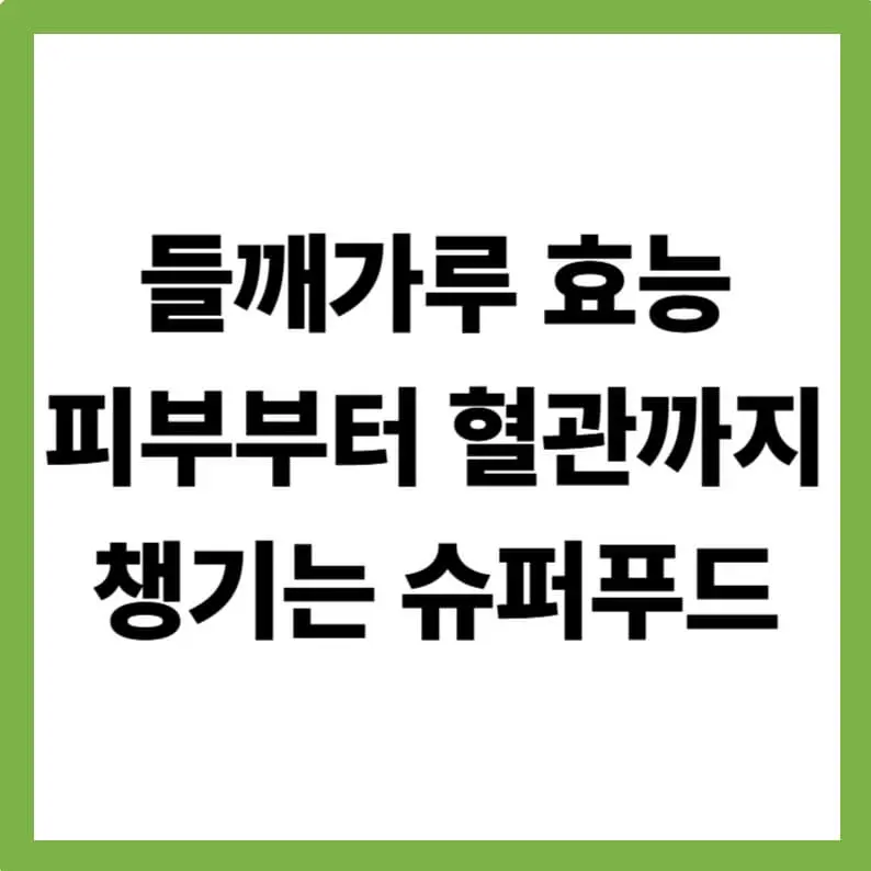 들깨가루 효능｜피부부터 혈관까지 챙기는 슈퍼푸드