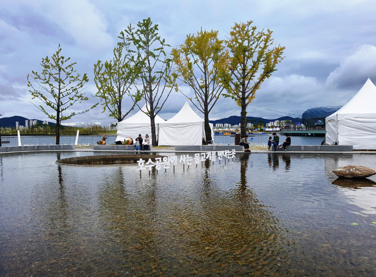 세종호수공원1
