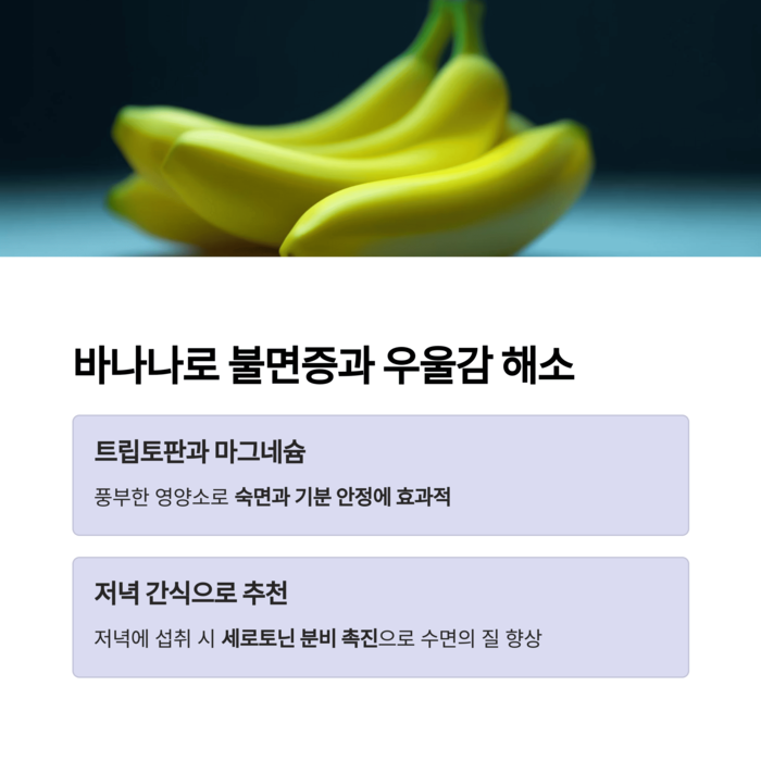 건강 의료