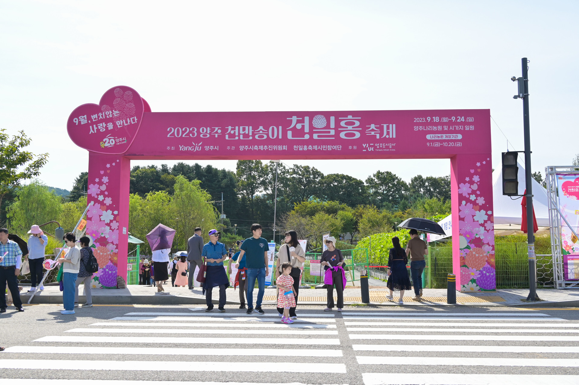 2024 양주 천일홍 축제