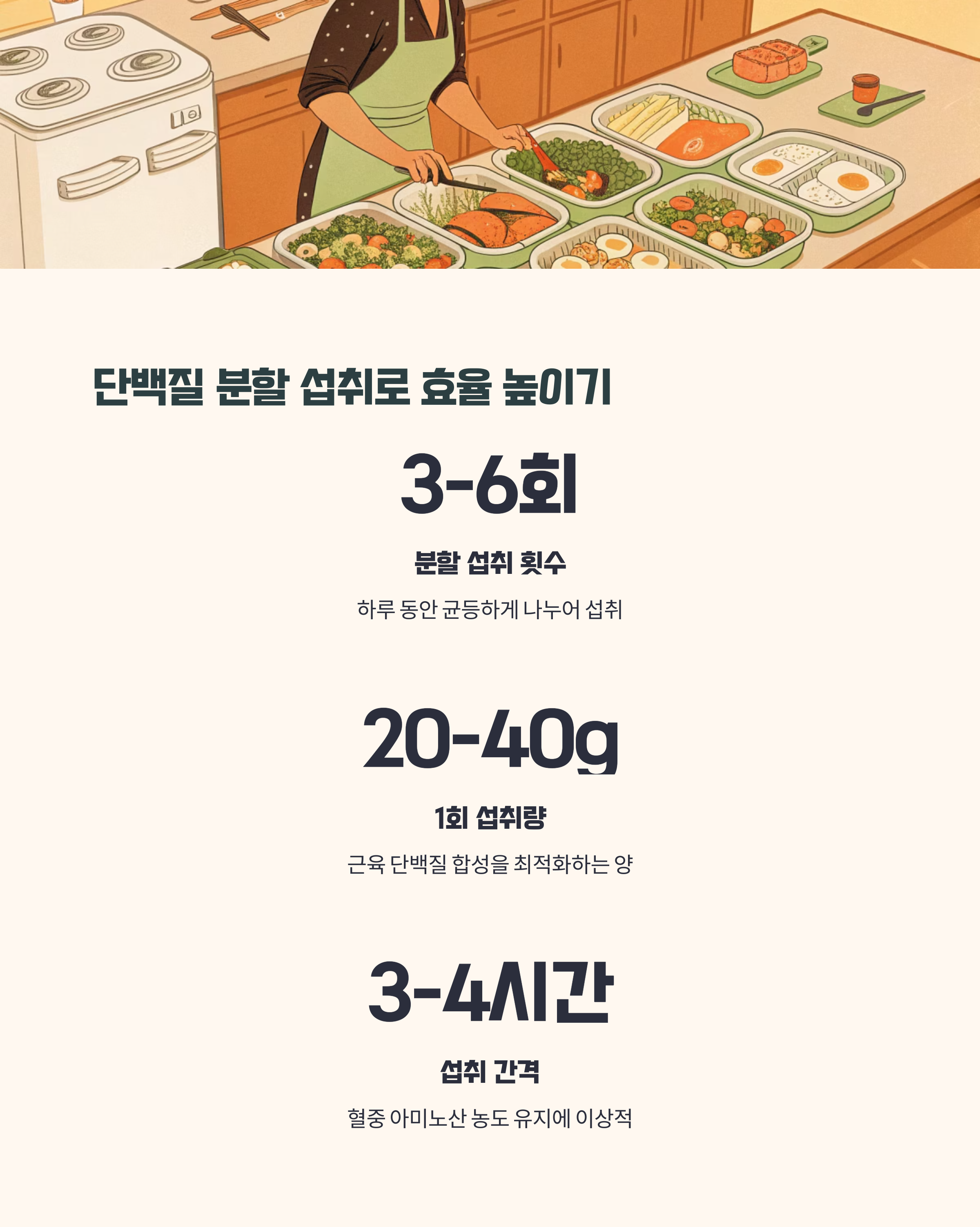 단백질 분할 섭취가 주는 이점