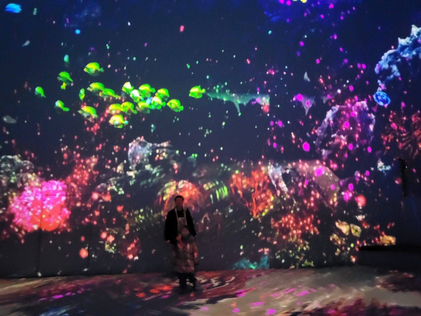 제주도 아이와 가볼만한곳 ( 노형슈퍼마켙 )