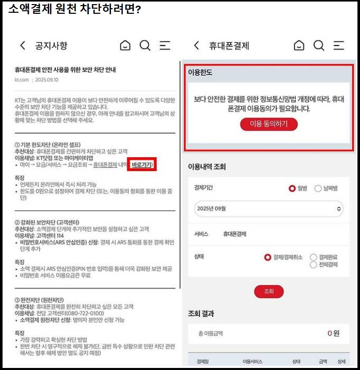 KT 소액결제 해킹대처법