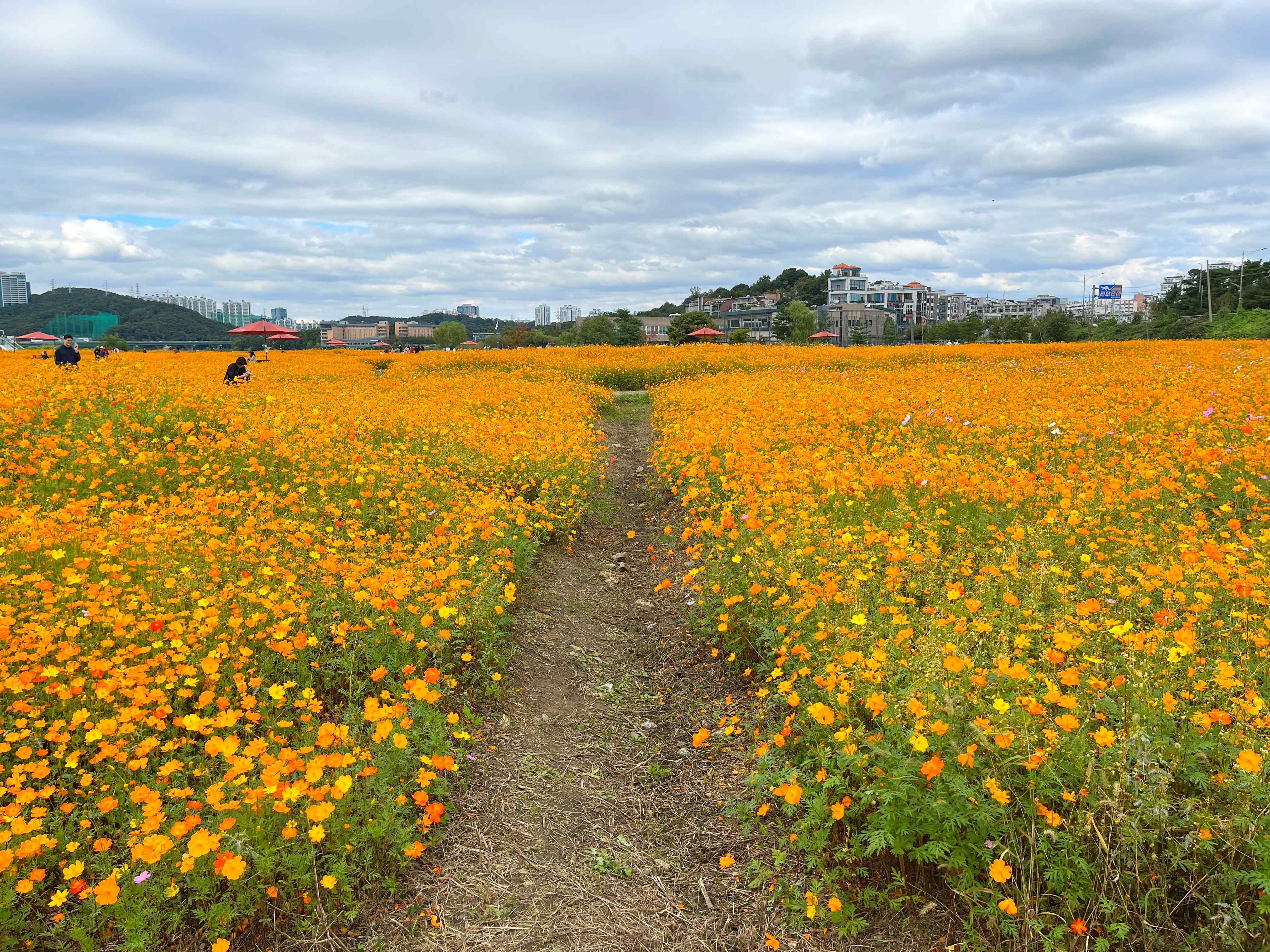 용인 기흥 호수공원