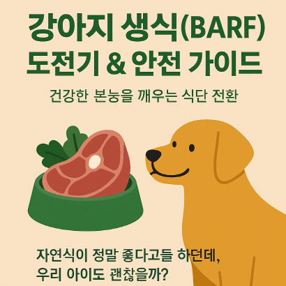 생식, 해도 될까 말아야 할까? 보호자를 위한 현실 가이드