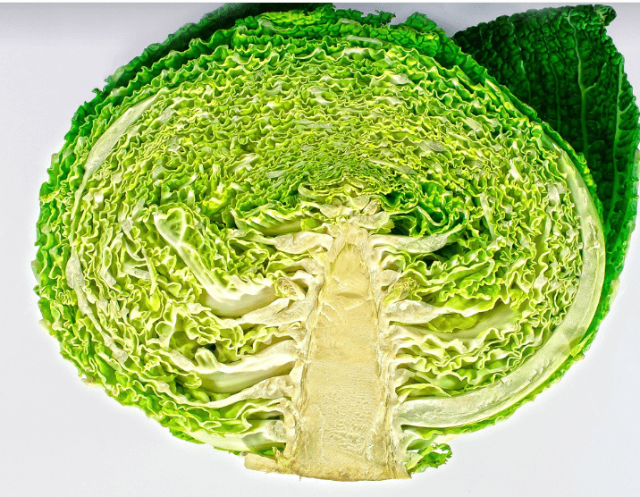 위에 좋은 음식