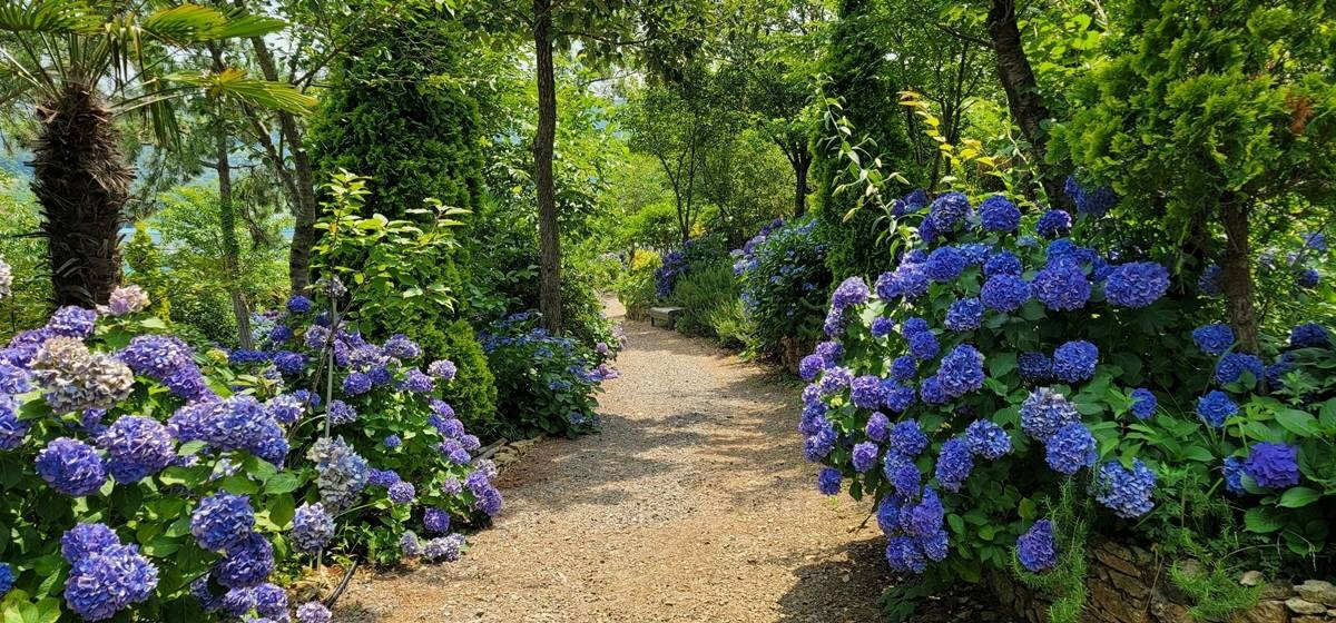 통영 물빛소리정원