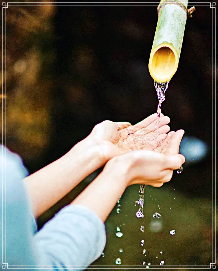 생방송 오늘저녁 경남 산청 지리산 힐링 티테라피 약초차 맛집