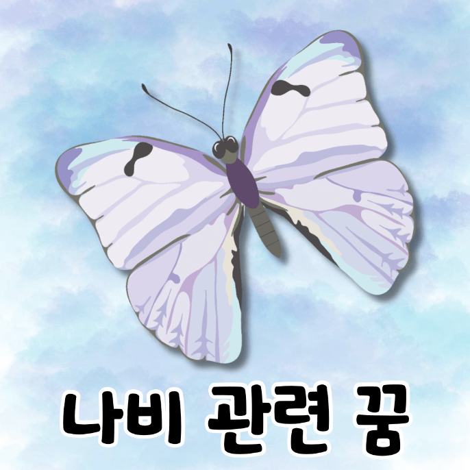 나비