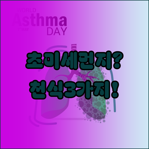 초미세먼지 많은 날 천식 환자가 꼭 ..