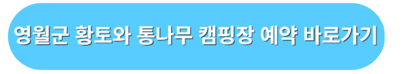 영월군 황토와 통나무 캠핑장 예약 바로가기