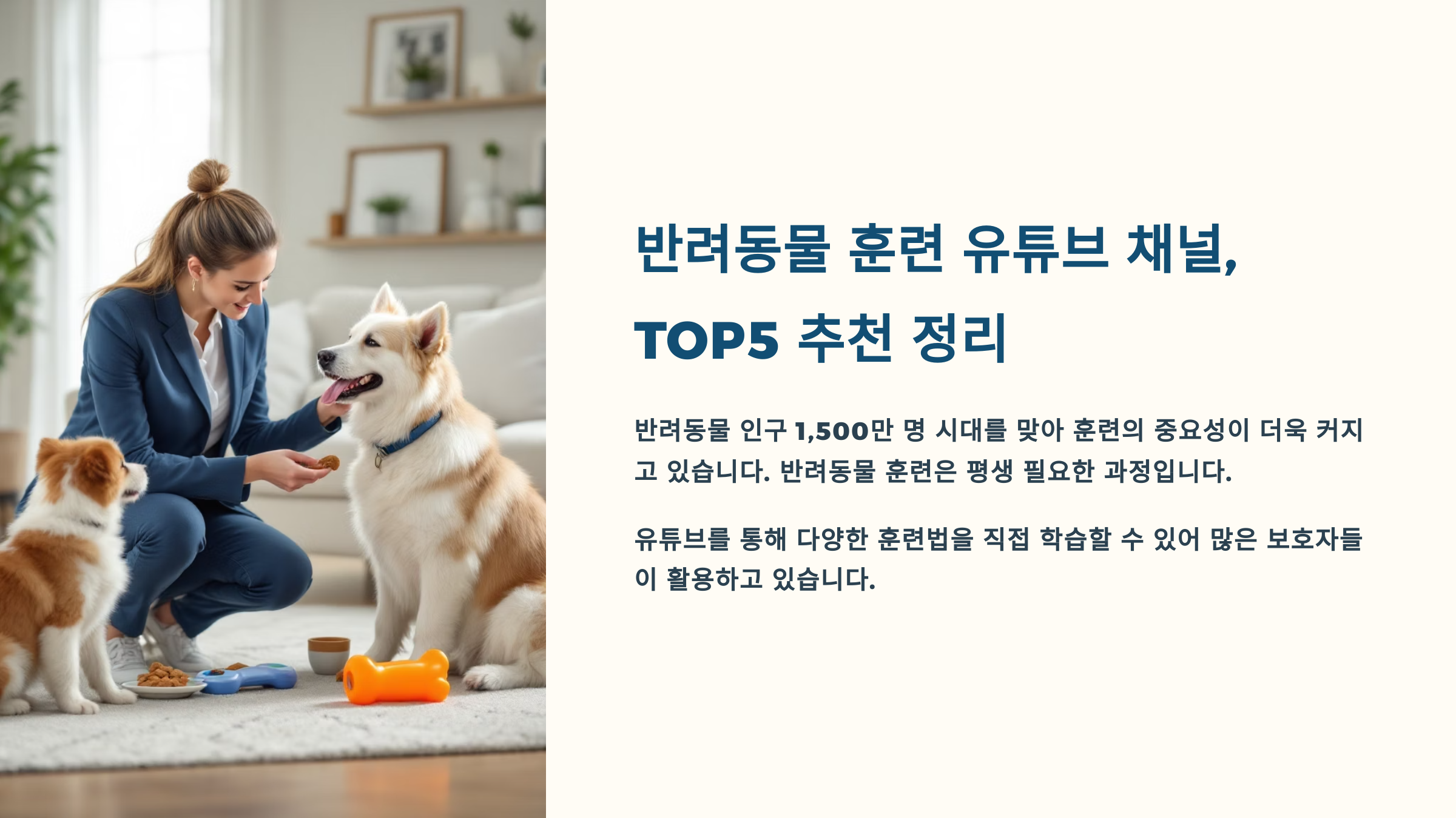 반려동물 훈련 유튜브 채널, TOP5 추천 정리