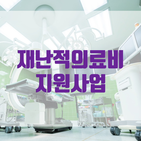 국민건강보험공단 재난적의료비 지원산업