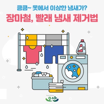 장마철 빨래 냄새 제거방법 [꿉꿉한 냄새 없이 산뜻하게 건조하는 꿀팁!] 장마철 빨래 냄새 제거방법 [꿉꿉한 냄새 없이 산뜻하게 건조하는 꿀팁!] 