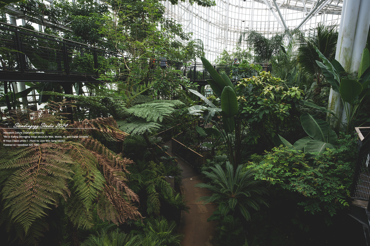 #식물 #나무 #수목원 #세종 #세종수목원 #피노키오