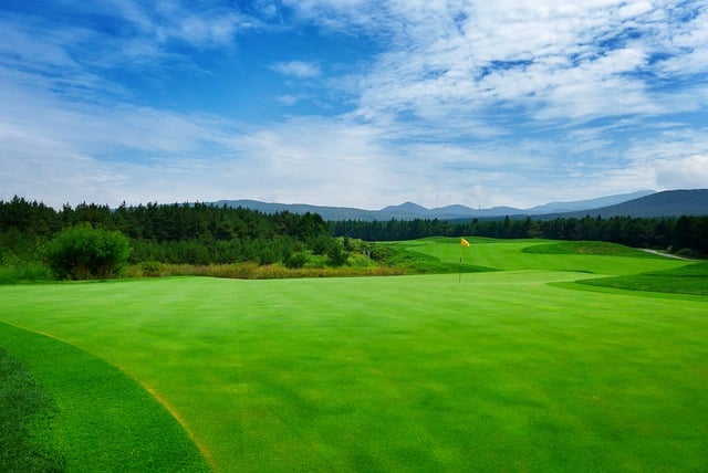 완변한 잔디의 골프장