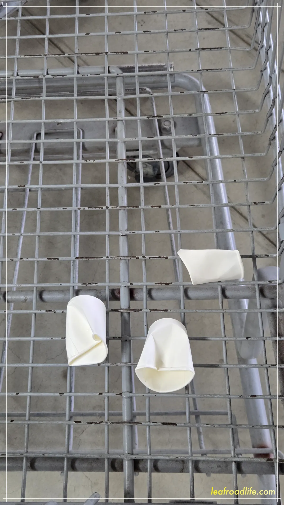 코스트코-카트-종이컵-쓰레기