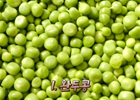 완두콩