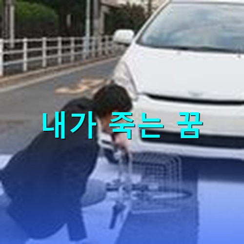 자전거로-횡단보도를-건너다-차에치여-쓰러져서-깜짝-놀라는-아저씨