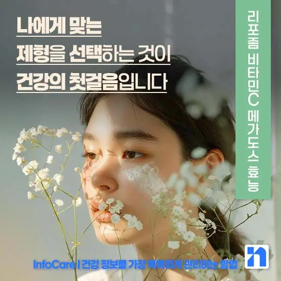 리포좀 비타민C 메가도스 효능