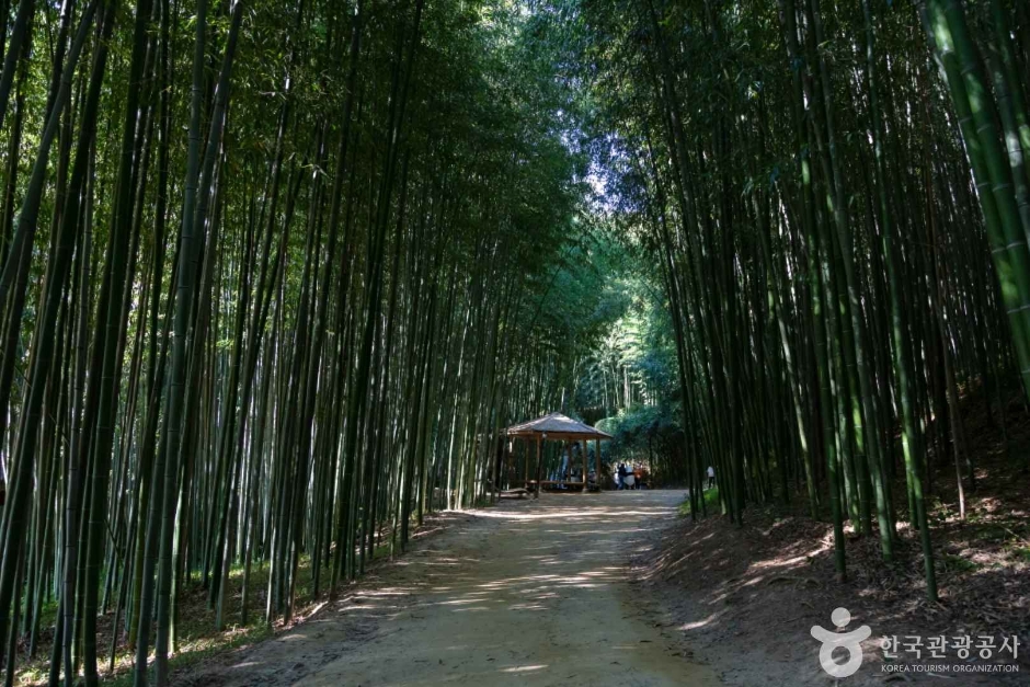 담양 가볼만한곳 베스트10