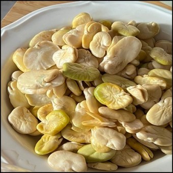 파바빈 효능 자이언트 파마빈 먹는방법 총정리