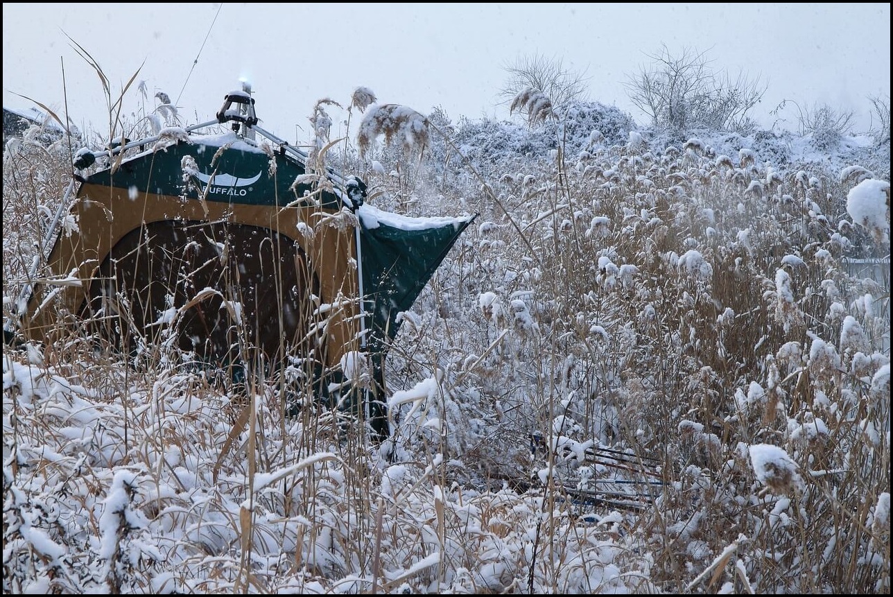 축제 이용 금액