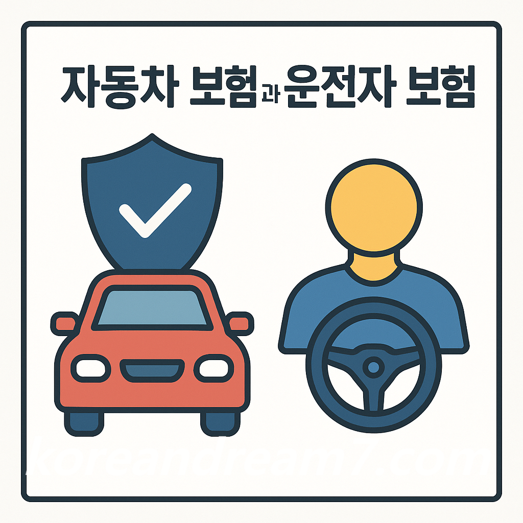 자동차 보험과 운전자 보험 다른점