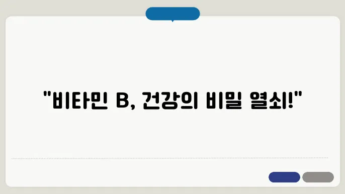 비타민b 효능