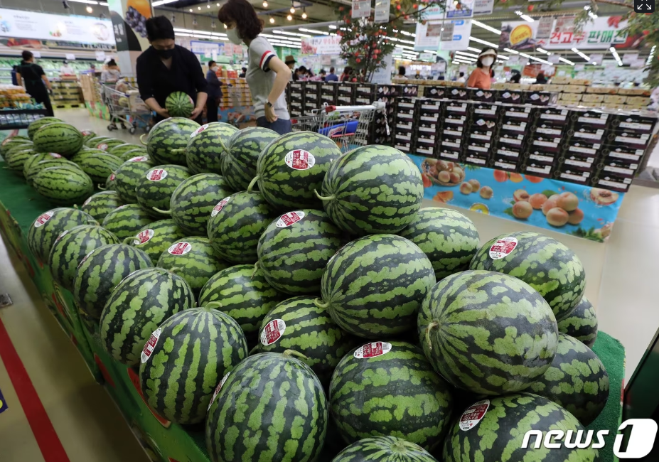 금수박 사진