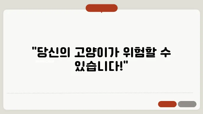 고양이 만성 신부전 초기 증상 알아보기, 놓쳥8지 마세요