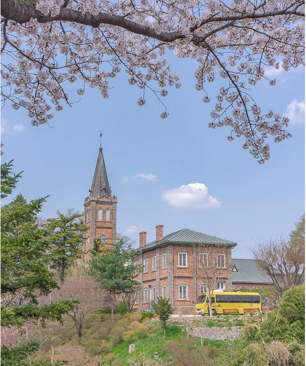 2025 벚꽃 개화시기