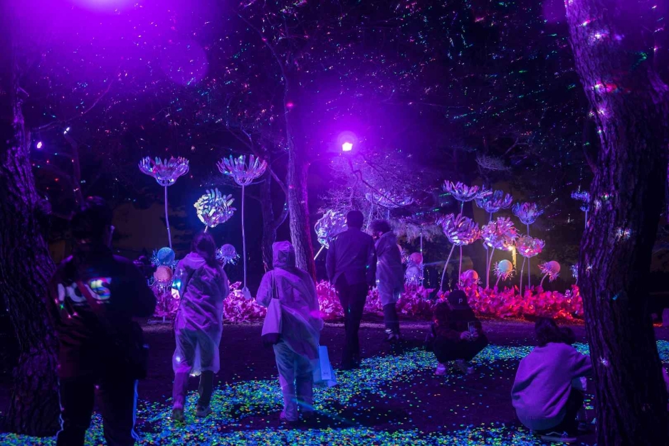 2024 울산 옹기축제 기본일정과 프로그램 소개 노라조 왁스 문희옥 나태주 출연