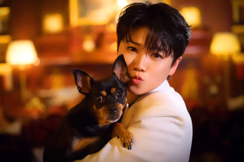 구리 코스모스축제