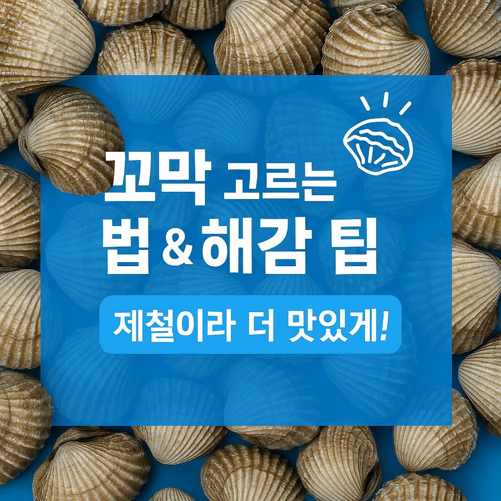 꼬막 고르는 법과 해감 팁