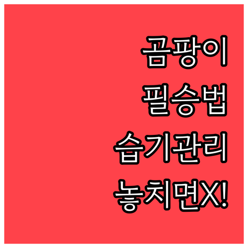 매트리스 곰팡이 제거 후 재발 방지를..